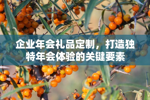 企业年会礼品定制，打造独特年会体验的关键要素