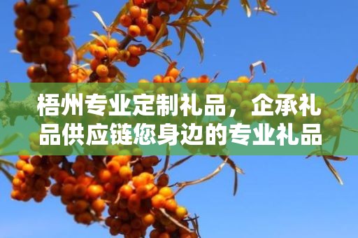 梧州专业定制礼品，企承礼品供应链您身边的专业礼品定制公司