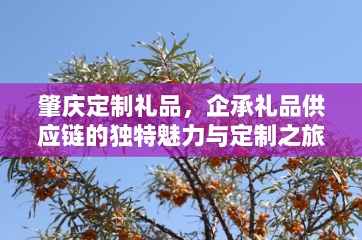 肇庆定制礼品，企承礼品供应链的独特魅力与定制之旅