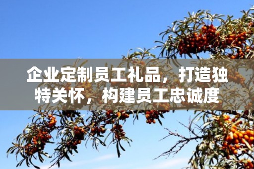 企业定制员工礼品，打造独特关怀，构建员工忠诚度